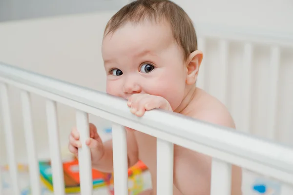 How to Clean Daycare Cots?