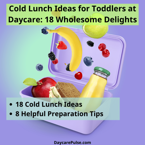cold-lunch-ideas-for-toddlers-at-daycare