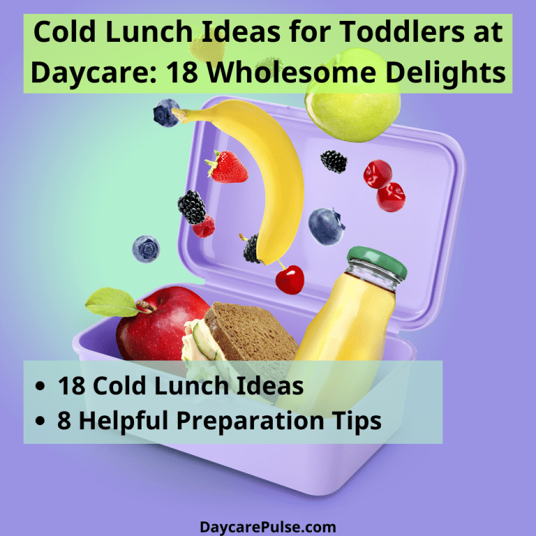 Cold Lunch Ideas for Toddlers at Daycare: 18 Wholesome Delights