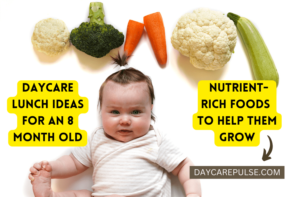 Daycare Lunch Ideas For 8 Month Old daycare-lunch-ideas-for-8-month-old