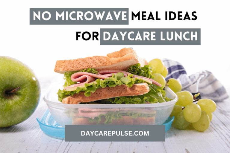 Lunch Ideas for Daycare No Microwave